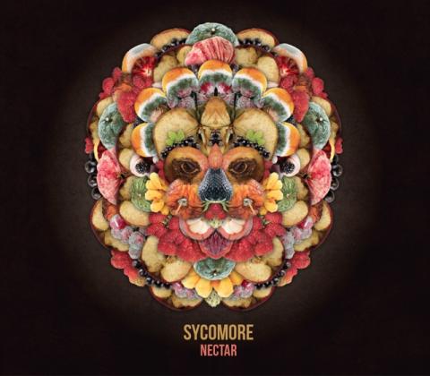 SYCOMORE - "Skeleton King" (Clip)