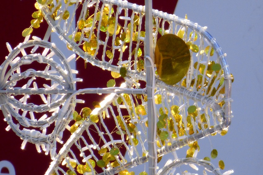 Quelques insolites ...