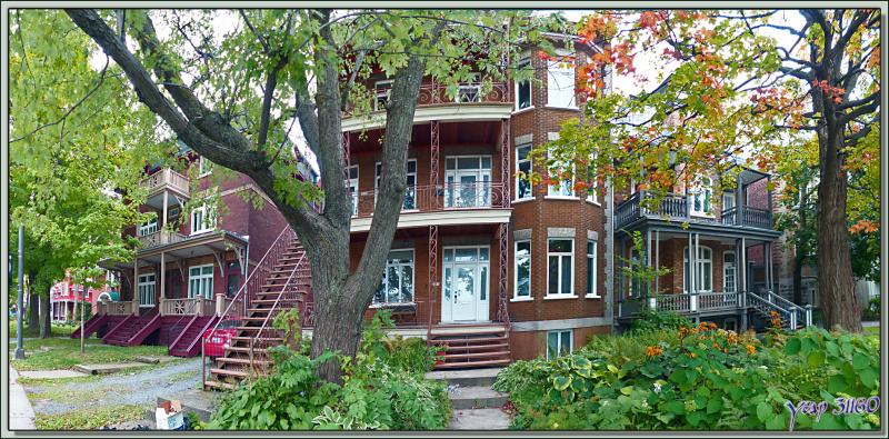 Petit aperçu de l'habitat de Québec actuel - Canada
