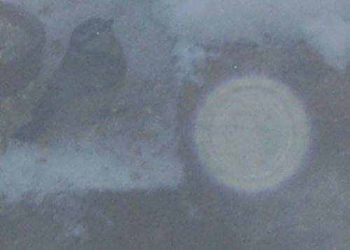 Les orbes ou les dimensions parallèles