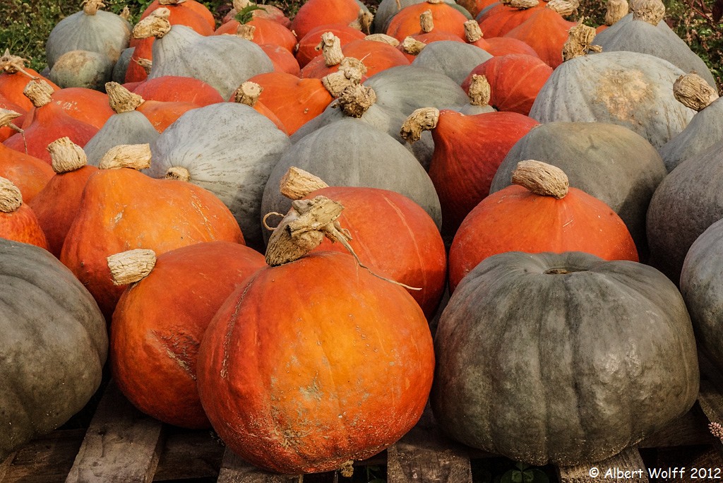 Un jardin extraordinaire (Part 2 et fin)