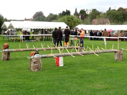 La Fête de l'Automne 2013 à la Maison de la Forêt de Leuglay...