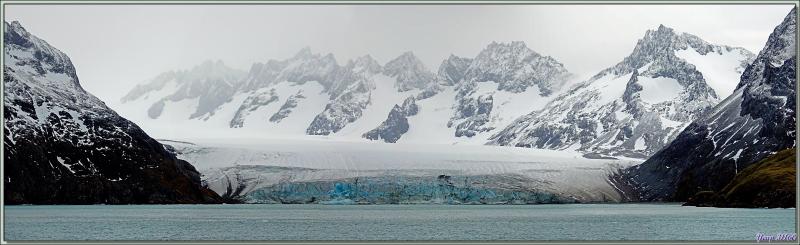 Bogen Glacier - Fjord Drygalski - Géorgie du Sud