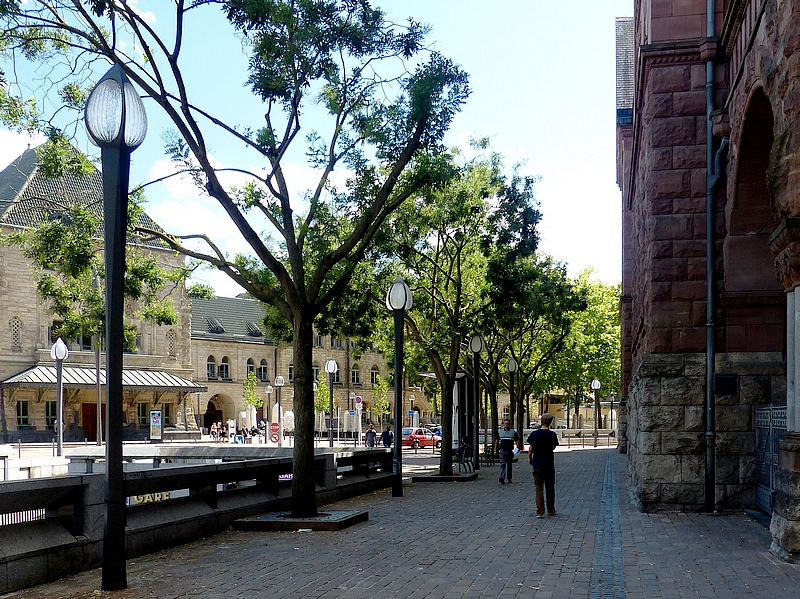 Metz / Suite d'une promenade d'été sous les arbres...