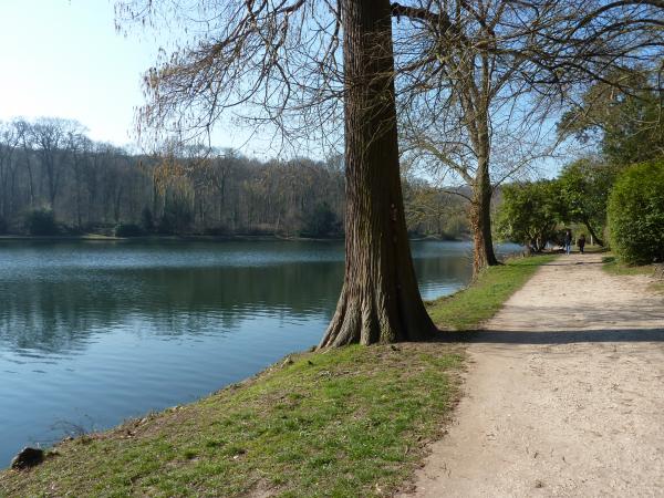 Ville d'Avray, Chaville et la forêt de Fausses Reposes