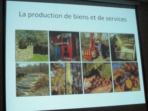-Dominique Masson , peintre à Villaines en Duesmois