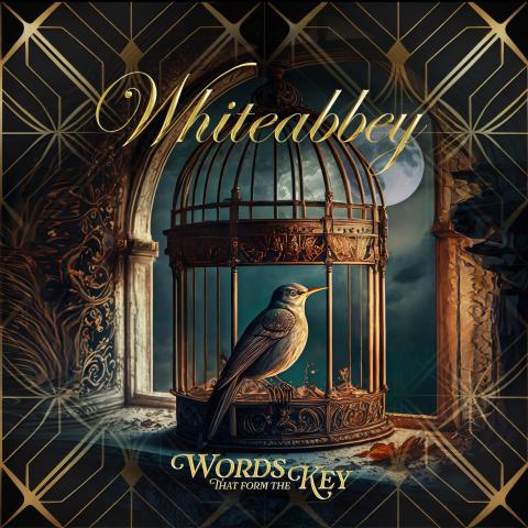 WHITEABBEY - "Just Hold Me" Clip