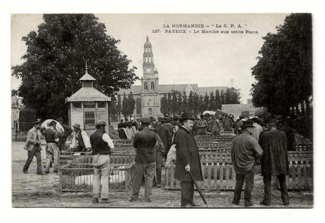 ╰⊱♥⊱╮ღ꧁ Basse Normandie ꧂ღ╭⊱♥≺