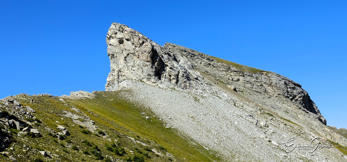 L'Encombrette