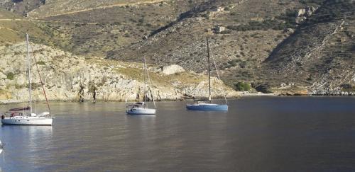 Portrait de PORTO KAYIO