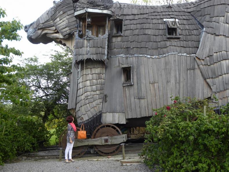 Un cheval, un baobabs....C'est monumental!