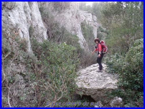Le vallat des Brayes