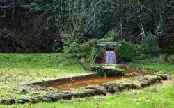 MARCHE 10 / LUNDI 26 - CESTAS les sources