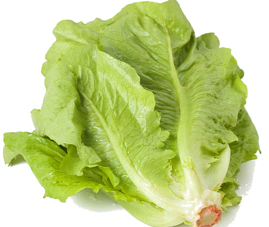 Légumes du mois de Juillet