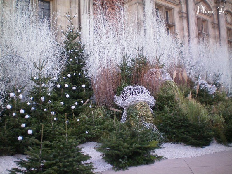 Image003.jpg