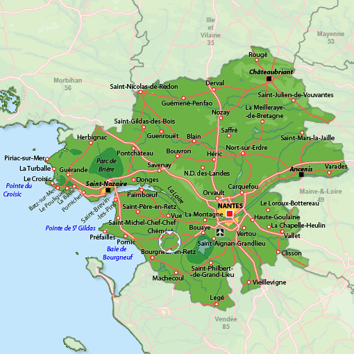 La MOTTE aux COCHONS St Hilaire de Chaléons