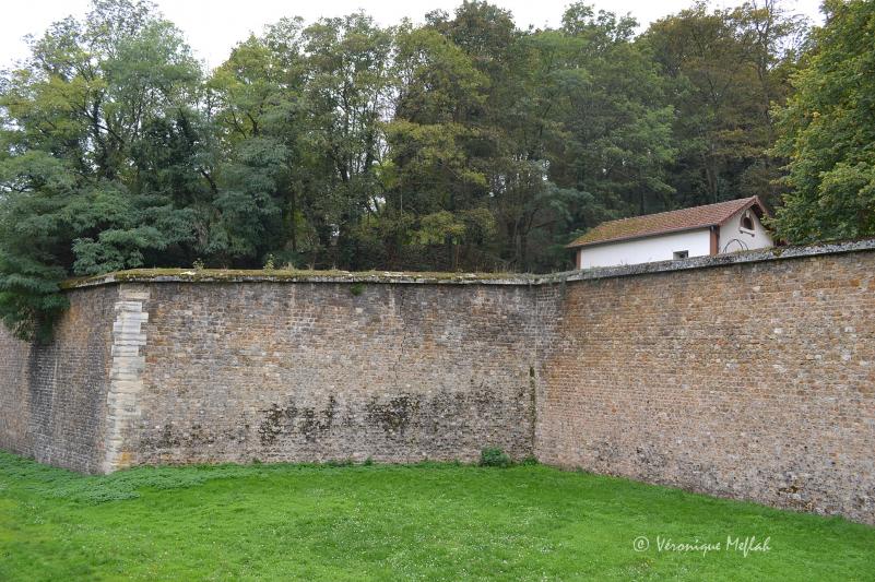 Suresnes : La promenade Jacques Baumel et le "Bosquet de la liberté"