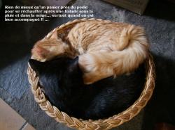 bien au chaud près du poêle
