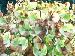 La page de Ludovic Demaret