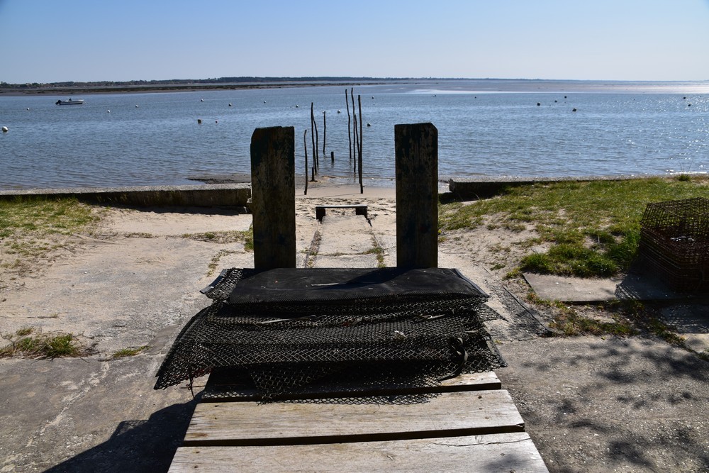 La petite cabane verte de Jane de Boy...