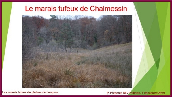 "Les marais tufeux du Plateau de Langres", une conférence proposée par la Société Mycologique du Châtillonnais