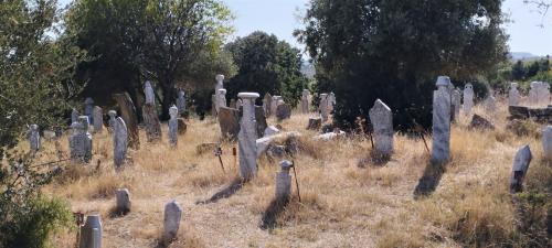 La route entre CANAKKALE et PERGAME...