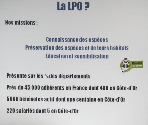 "Portraits d' oiseaux de Côte d'Or",  une conférence de la LPO à Laignes