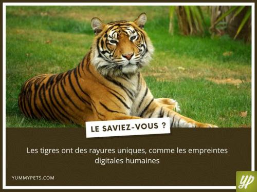 ღ꧁ღ╭⊱ꕥ   Vous le Saviez ?  ꕥ⊱╮ღ꧂ღ
