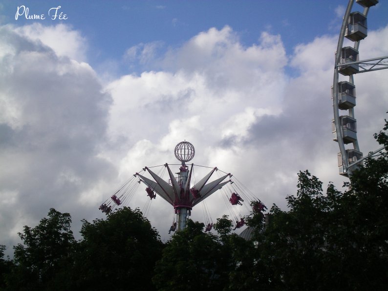Image001.jpg