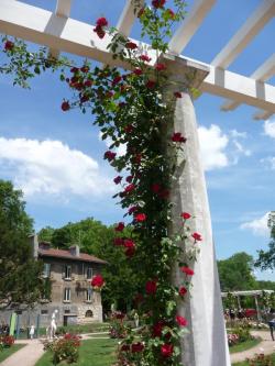 Un dimanche au parc  ... 