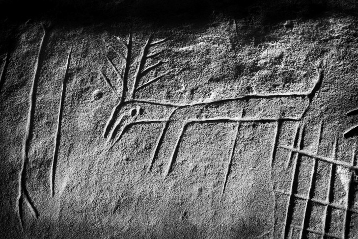 Des gravures rupestres en forêt de Fontainebleau