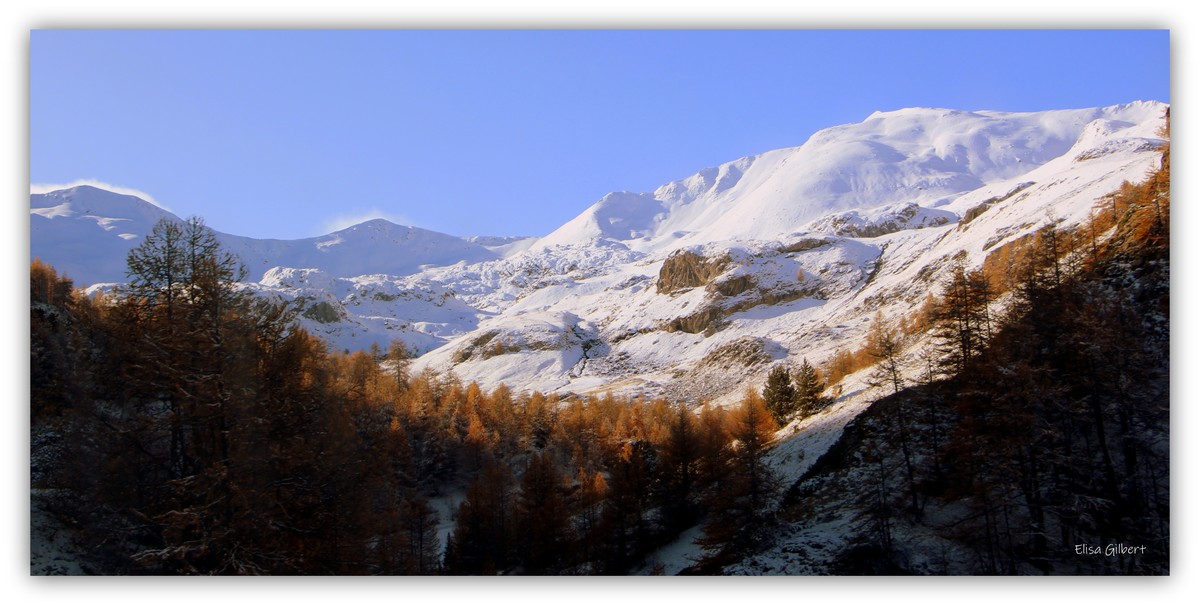 Flirt / Automne-Hiver