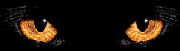 GIF HALLOWEEN
