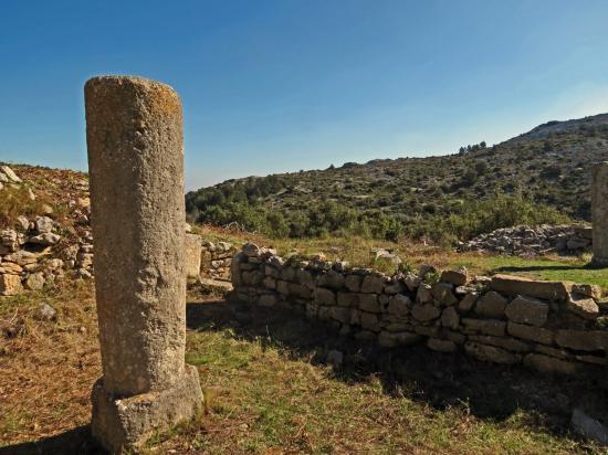 LE-PIC-DU-PIED-DU-POUL