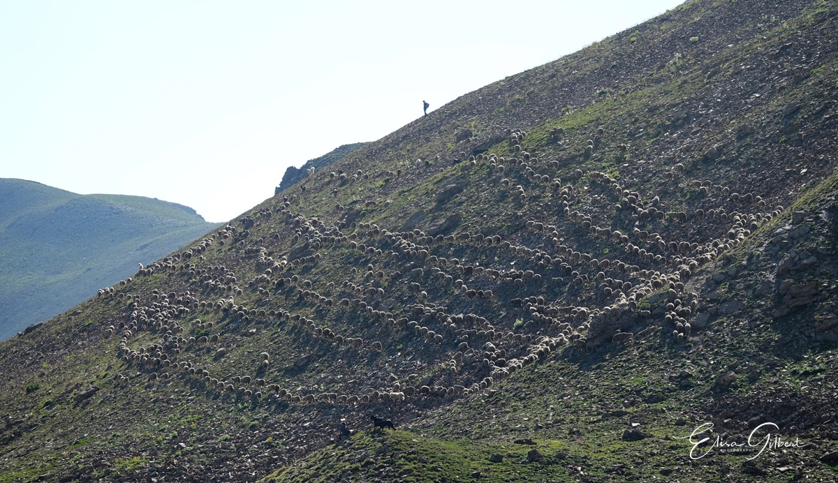 Une journée d'Août en montagne