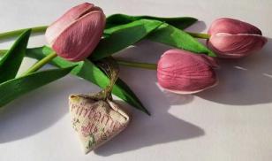 Berlingot et Pendibule Printemps ! Terminé