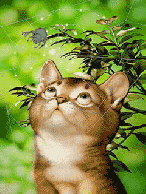 Citations philosophique : Patience