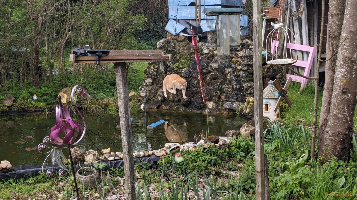 à la maison en Avril 