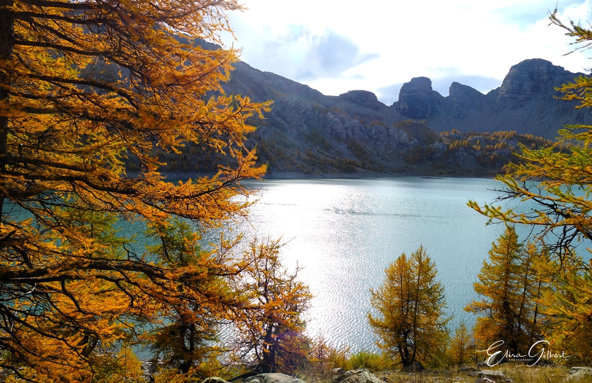Féerie d'Automne