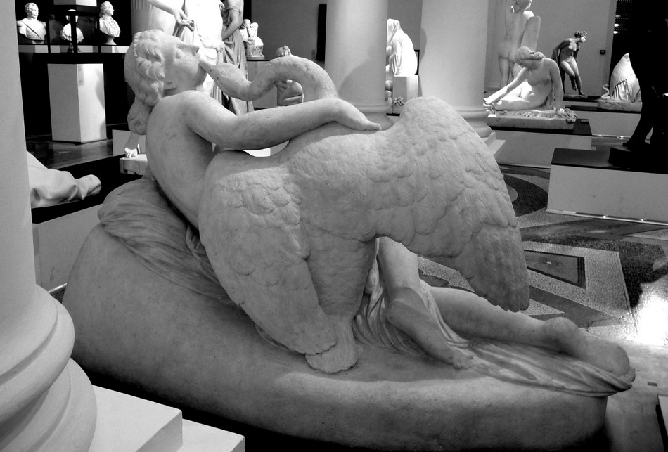 Le grand Musée de Picardie