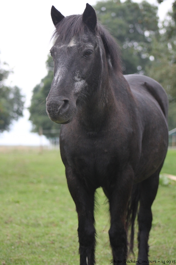 doudou & black 14/09/13