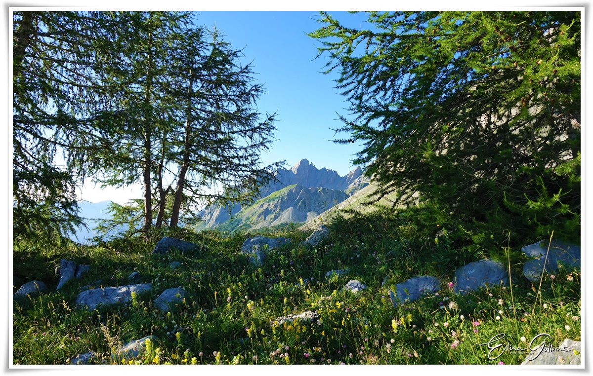 Le Col des Champs (côté Mercantour)
