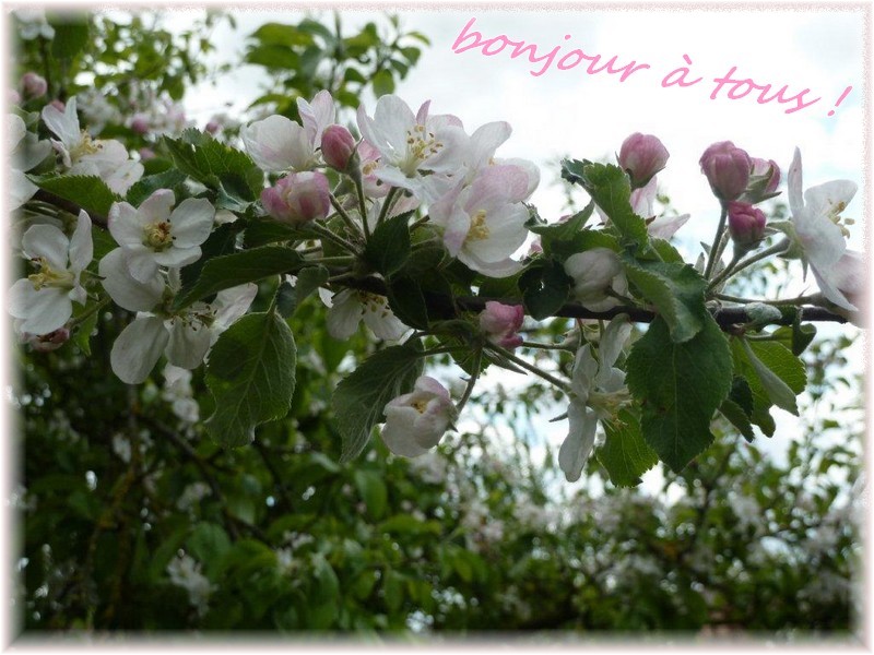 On l'attend ... "le printemps" !