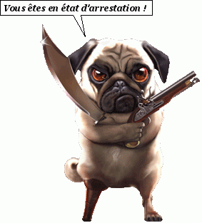 Chien attaque !