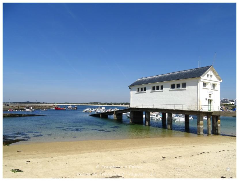 Pointe de Trévignon à Trégunc - 29 -