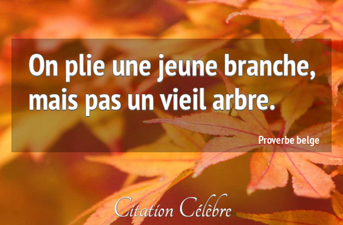 Vie d'un arbre ... 
