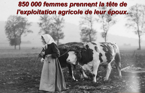 1914-1918: la vie à l'arrière