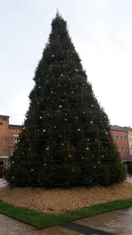 Trève de NOËL