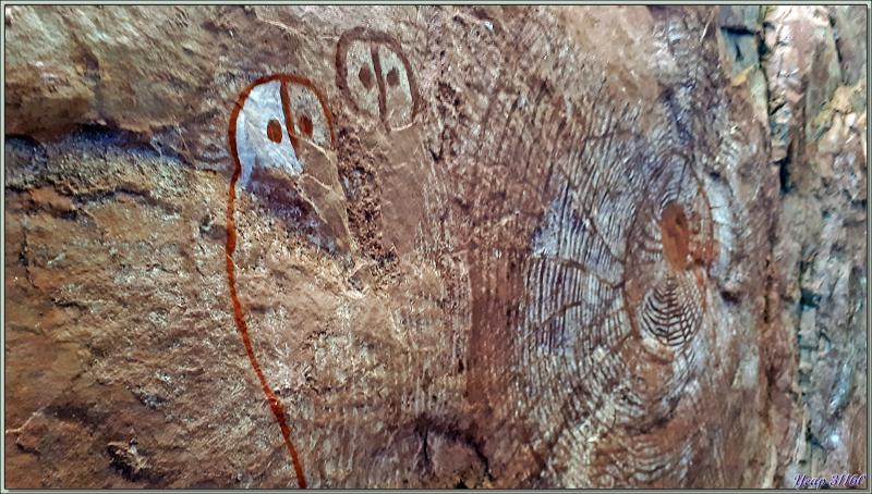 18/09/2022 : Peintures rupestres du peuple Worrorra - Wijingarra Bard Bard (Freshwater Cove) - Kimberley - Australie