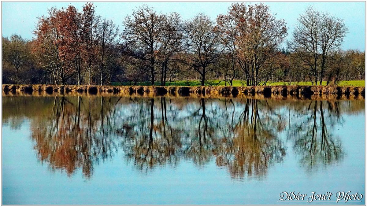 85 . Vendée - La Chaize le Vicomte (26) - Etang communal